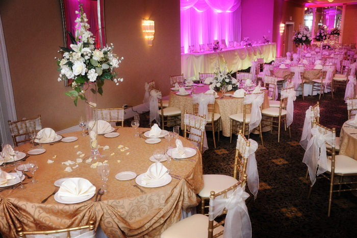 Chicagoland Wedding Halls The Seville 1 37